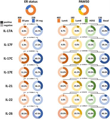 Estrogen Receptor Downregulates Expression of PD-1/PD-L1 and Infiltration of CD8+ T Cells by Inhibiting IL-17 Signaling Transduction in Breast Cancer